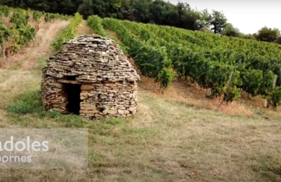 Le Petit Patrimoine Rural du Pays des Pierres Dorées et des Monts d’Or